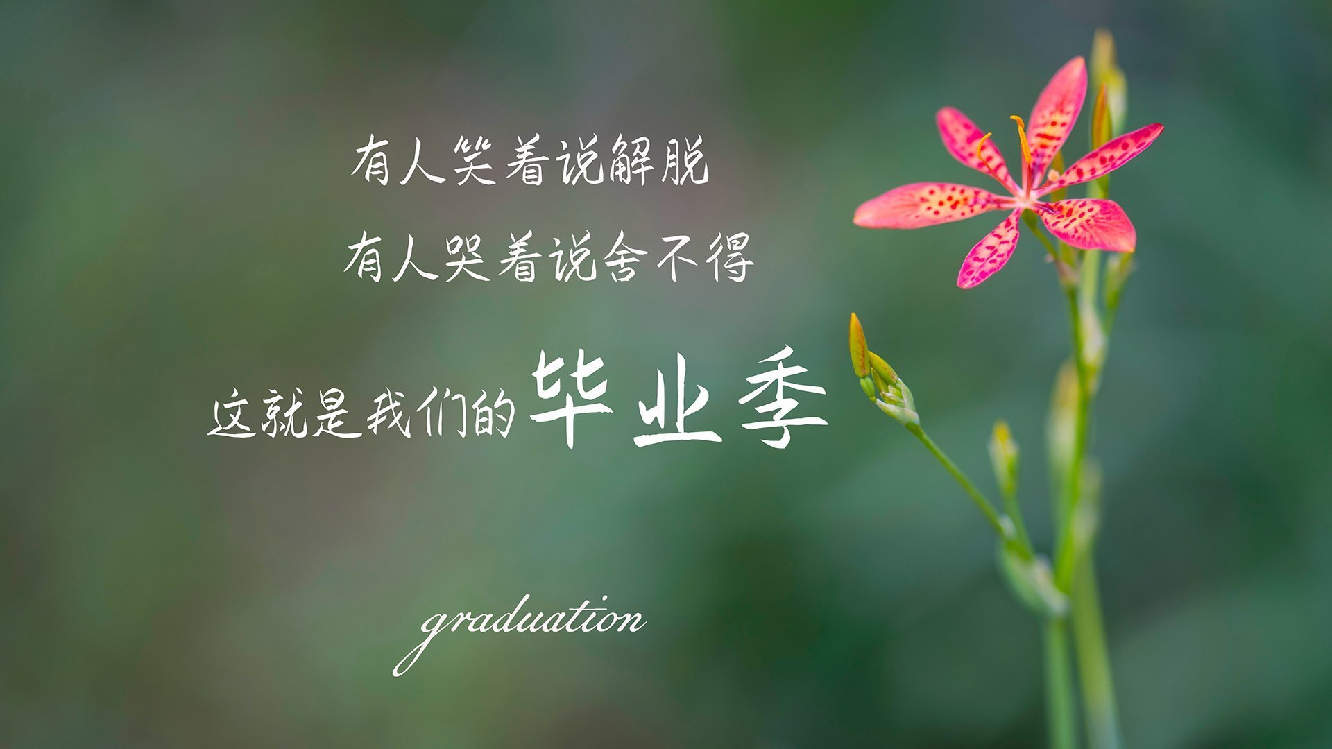 一人撕裂十人防线，米切尔疯狂夜，火箭防线被彻底肢解