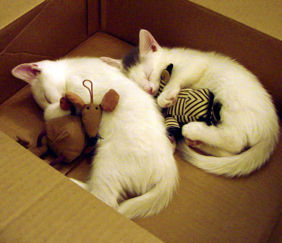 慈善夜绝杀,当梅西意外成为尤文曼联鏖战的关键先生