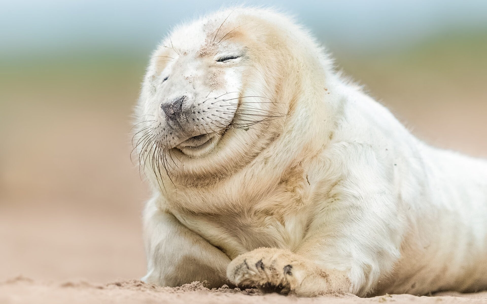 铁闸与权杖，金玟哉一夫当关，年度焦点之夜为他加冕