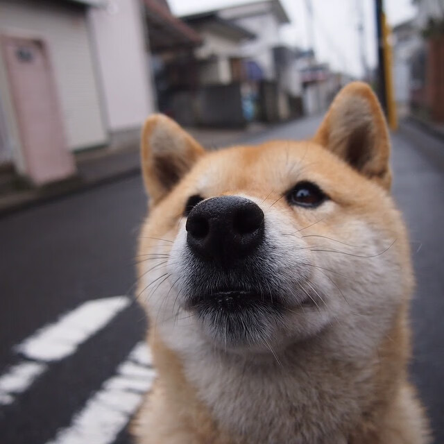 开云体育-直布罗陀海峡的风，冲垮了荷兰足球的堤坝