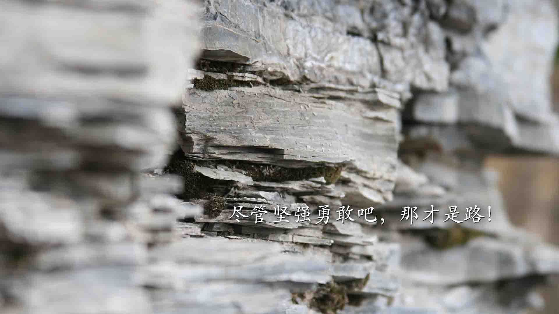 绝杀之夜的命运结晶,萨卡的致命一击与智利足球的复兴密码